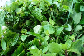 Vì sao ngày Tết cần tăng cường ăn các loại rau thơm?