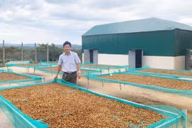 Kinh tế hợp tác: "Bệ đỡ" nâng cao sức cạnh tranh sản phẩm 