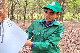 Xứng đáng là thanh niên tiên tiến làm theo lời Bác