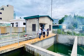 Pleiku ưu tiên phát triển “kinh tế xanh”