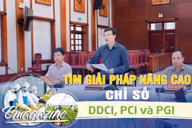 Tìm giải pháp nâng cao chỉ số DDCI, PCI và PGI