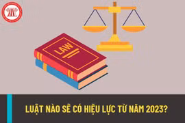 Điều tra, khảo sát tình hình thi hành pháp luật năm 2023 