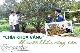 “Chìa khóa vàng” để xuất khẩu nông sản