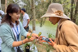 “Yêu cây, yêu hoa, yêu đời”