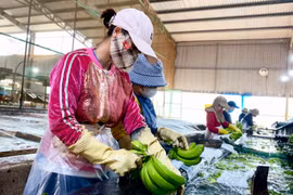 Công ty Hưng Sơn tạo việc làm cho lao động địa phương