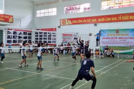 Hấp dẫn Giải Bóng chuyền “Bông lúa vàng”