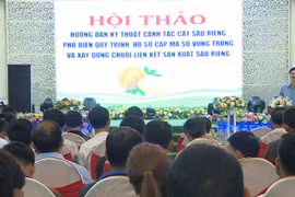 Hội thảo phổ biến quy trình, hồ sơ cấp mã số vùng trồng sầu riêng