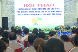 Hội thảo phổ biến quy trình, hồ sơ cấp mã số vùng trồng sầu riêng