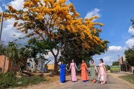 Kỳ thú phượng vàng làng Srơn