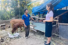 Tín dụng ưu đãi vùng đồng bào dân tộc thiểu số và miền núi: Thiết thực và nhân văn 