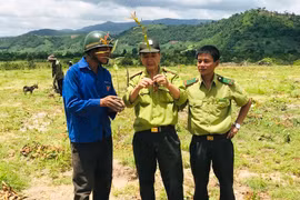 Ayun Pa: Nan giải bài toán trồng rừng 