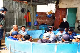 Bình Định: Triệt phá 2 vụ cờ bạc dưới hình thức đá gà