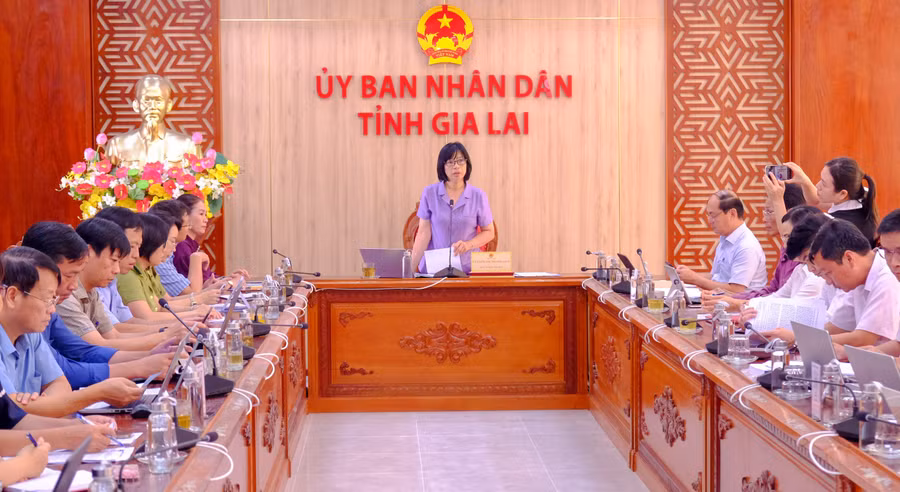 pho-chu-tich-ubnd-tinh-nguyen-thi-thanh-lich-dung-chu-tri-cuoc-hop.jpg