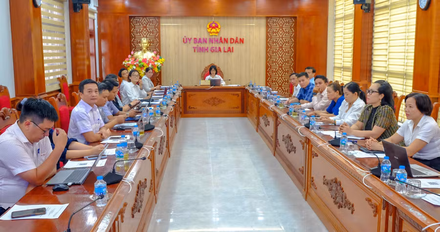 quang-canh-diem-cau-gia-lai-tham-du-hoi-nghi-so-ket-cong-tac-6-thang-dau-nam-2026-cua-bo-van-hoa-the-thao-va-du-lich-chieu-9-7.jpg
