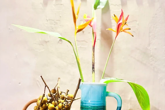 Thương hoài mùa nhãn