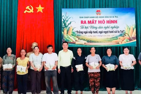 Ra mắt Tổ hội nghề nghiệp trồng ngô nếp tươi, ngô ngọt tươi xã Ia Tul. Ảnh: ĐVCC