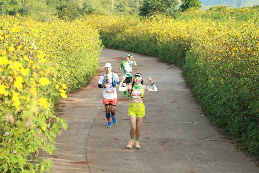 Chờ đón mùa hoa trên núi ảnh 5 img-9230-8404-5516-4890.jpg