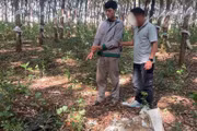 35 giờ phá án bắt đối tượng trộm két sắt, thu giữ hàng trăm triệu đồng
