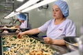 Thành lập Tổ rà soát số liệu đầu vào tính GRDP tỉnh Gia Lai