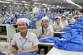 Tuyển 40 lao động làm việc tại Đài Loan, mức lương gần 25 triệu đồng/tháng