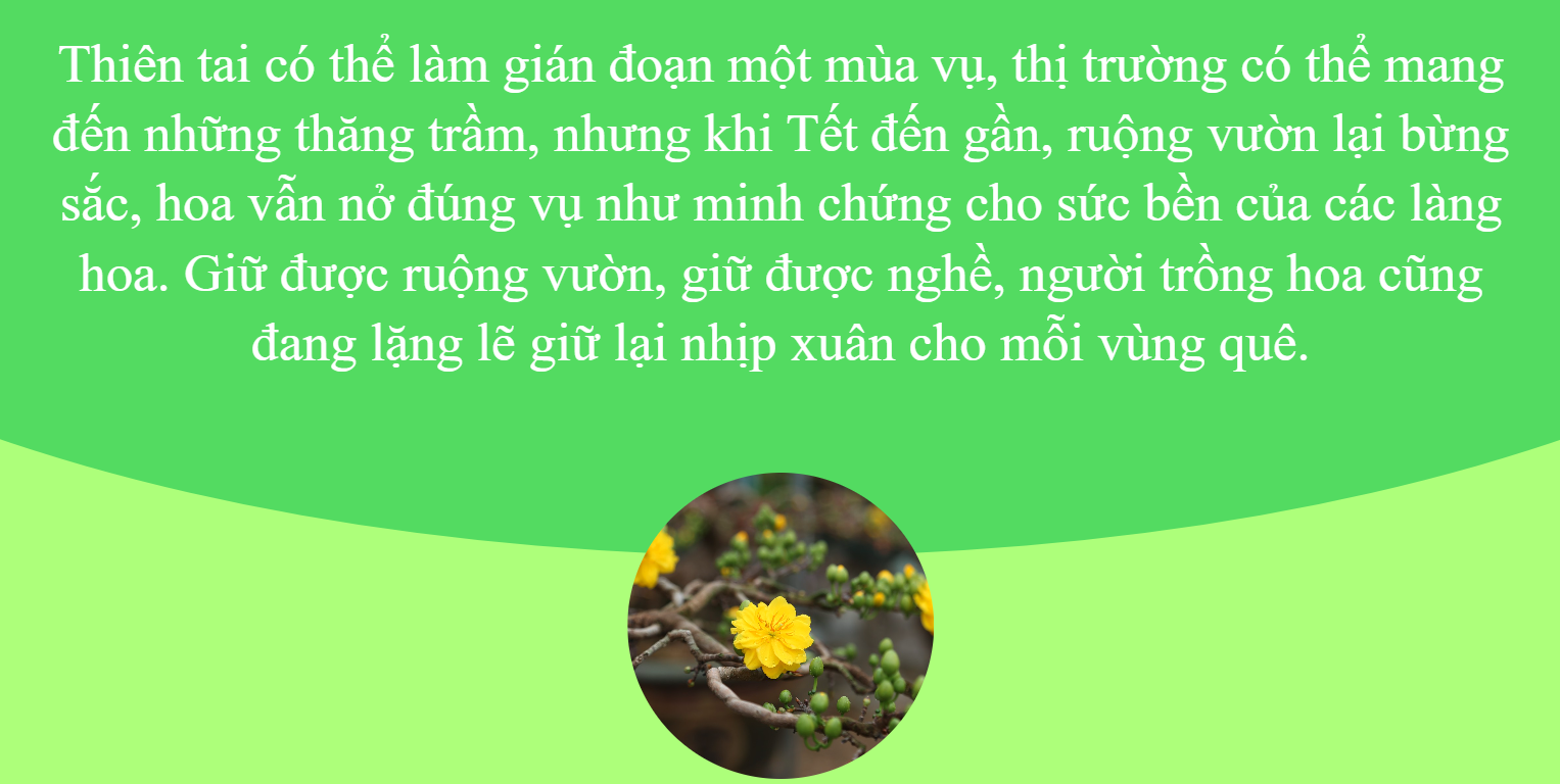 qua-giong-gio-hoa-van-no.png