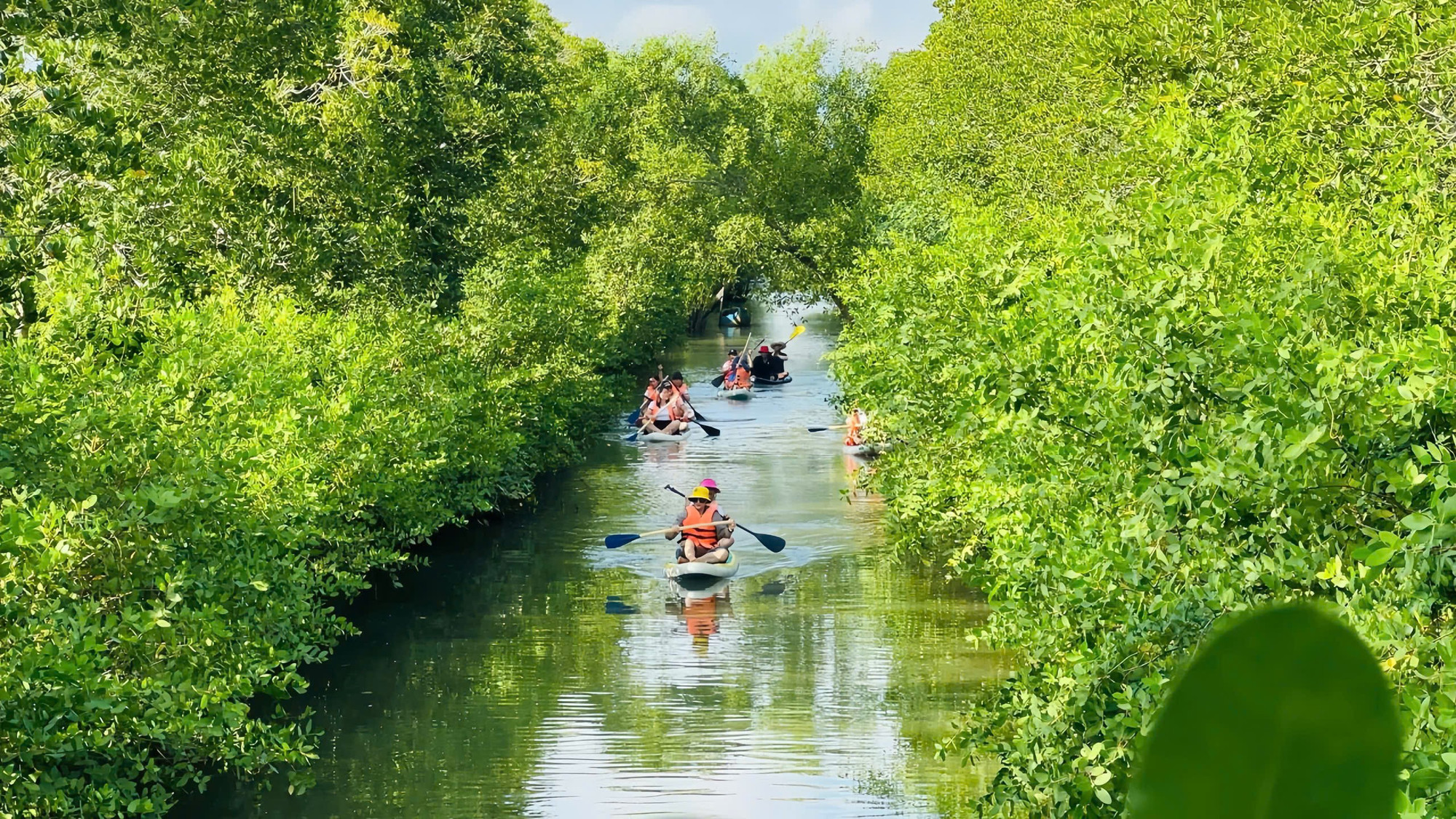 Một góc thiên nhiên thanh bình tại Cồn Chim - nơi được ví như ốc đảo giữa đầm Thị Nại. Ảnh: HTX Cồn Chim Xanh gen-h-goc-nho-con-chim.jpg