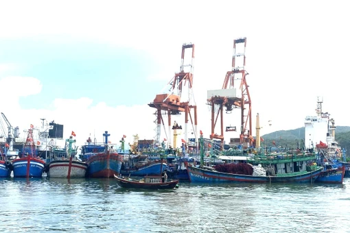 gia-lai-tam-cap-kinh-phi-chuyen-doi-nghe-ngu-dan