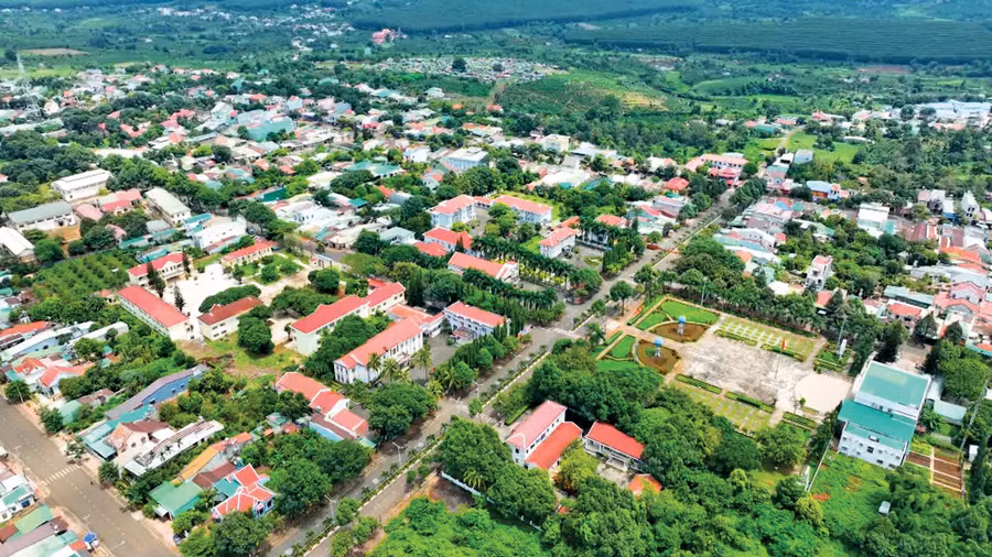 chprong1.jpg