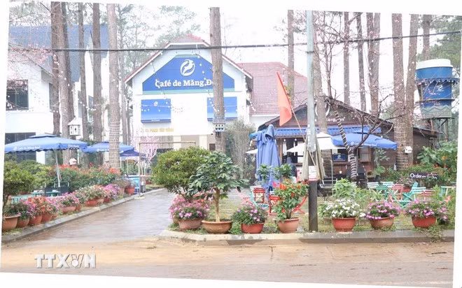 Khu vực trụ sở Công ty cổ phần tập đoàn Vị Trí Vàng, Công ty cổ phần Tập đoàn Café Măng Đen, Công ty cổ phần Thuận Thiên Kon Tum ở địa chỉ 38 Phạm Văn Đồng, thị trấn Măng Đen, huyện Kon Plông (Kon Tum). (Ảnh: Cao Nguyên/TTXVN)