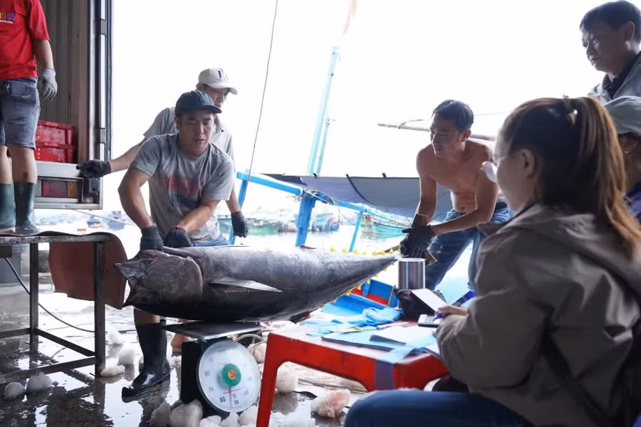 Ngư dân phấn khởi sau chuyến đi biển.