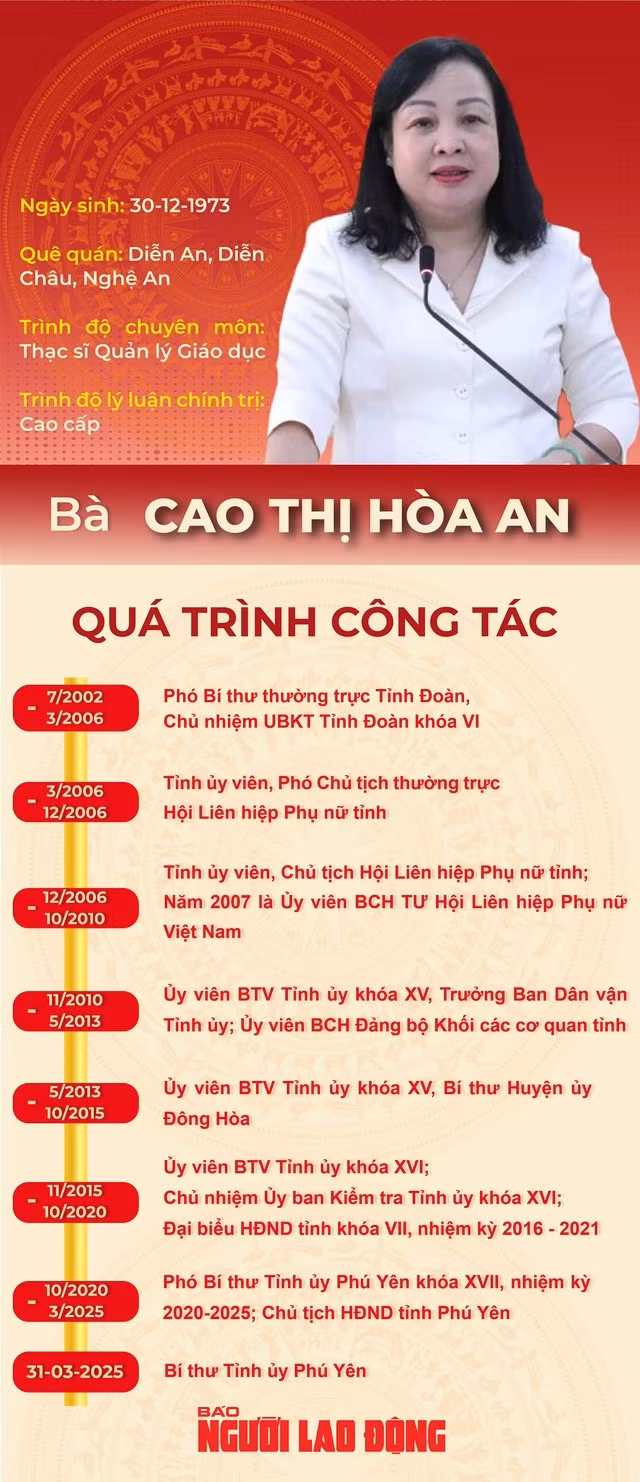 Quá trình công tác của bà Cao Thị Hòa An (Đồ họa: Vệ Loan)