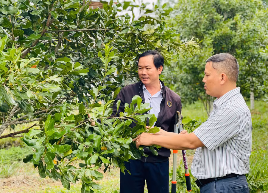 nguoi-dan-huyen-kbang-trong-va-cham-soc-mac-ca-anh-tran-dung.jpg