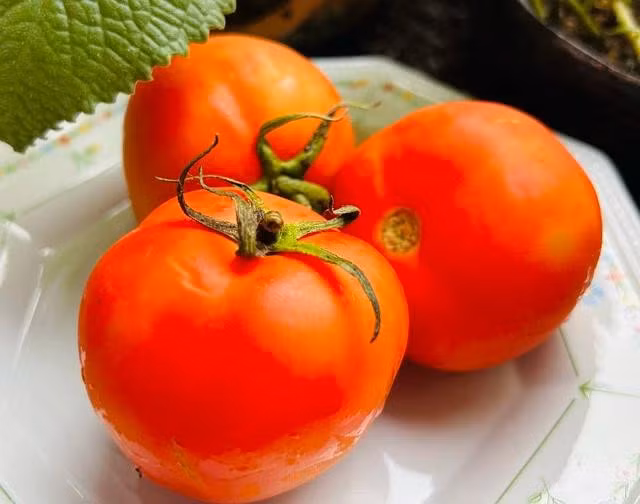 Bổ sung thực phẩm giàu vitamin C trong những ngày nắng nóng như cà chua, dâu tây...