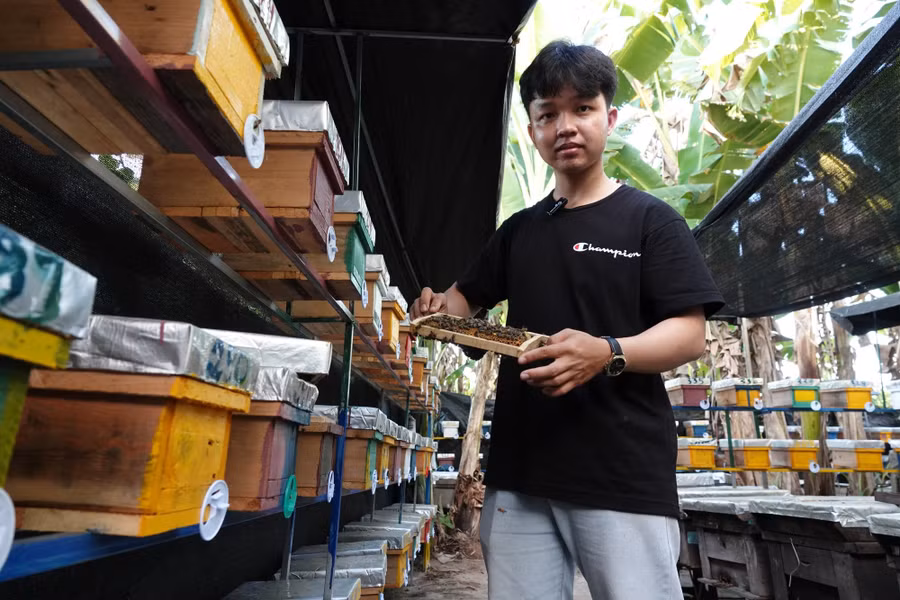 Nuôi ong chúa bán giống, nam sinh Đỗ Công Tạo có thu nhập ổn định gần 20 triệu đồng/tháng