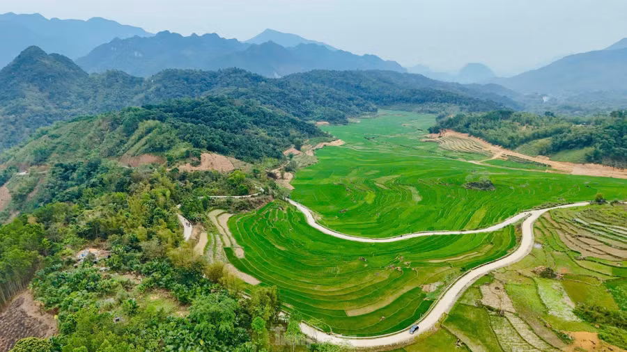 Tầng tầng lớp lớp ruộng bậc thang xanh mướt phủ kín thung lũng Pù Luông, khung cảnh khiến nhiều người lầm tưởng là ở vùng cao Tây Bắc.
