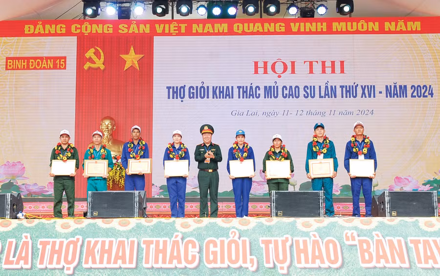 bd6.jpg