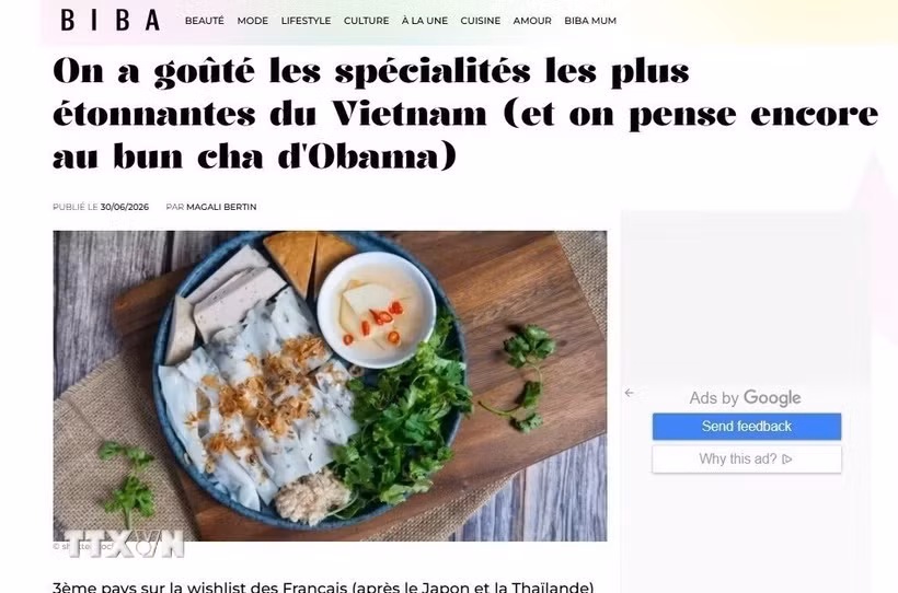 bao-phap-goi-y-nhung-mon-an-tinh-te-va-tot-cho-suc-khoe-o-viet-nam.jpg