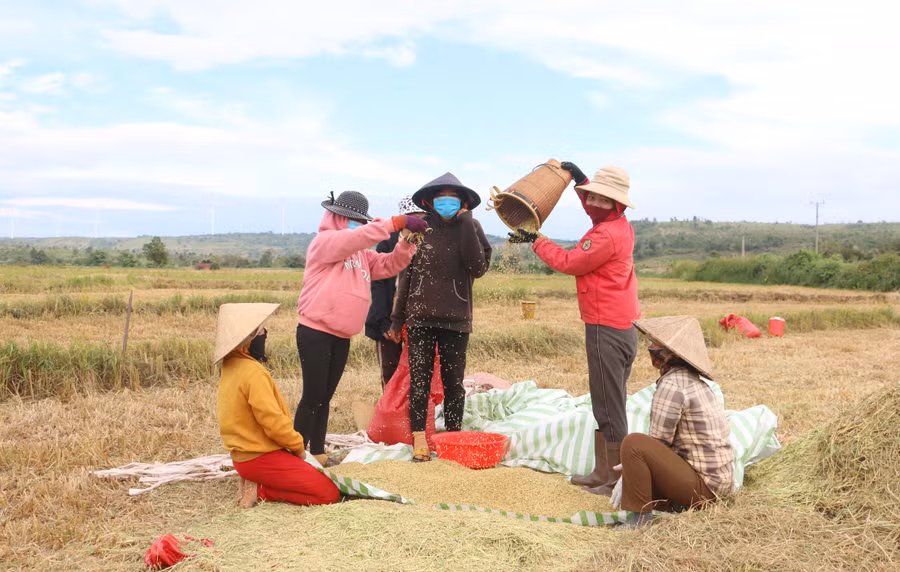 doi-song-san-xuat-nguoi-dan-ngay-cang-phat-trien-hieu-qua-kinh-te-ngay-cang-cao.jpg
