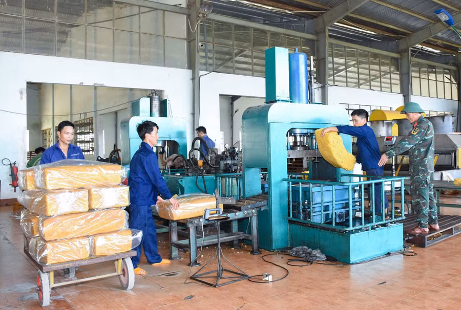 cong-nhan-cong-ty-715-thu-hoach-mu.jpg