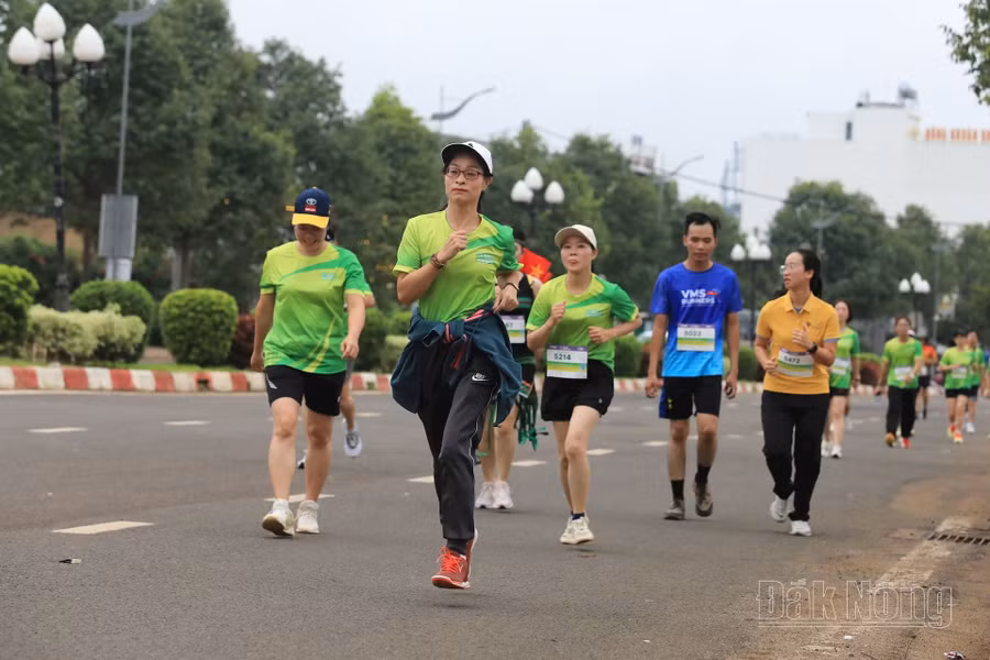 Các vận động viên bền bỉ trên đường chạy