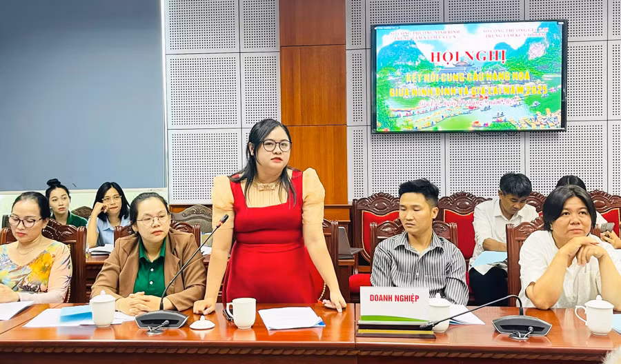 chi-tran-thi-be-giam-doc-cong-ty-tnhh-mtv-tran-lam-gia-phat-phat-bieu-tai-hoi-nghi.jpg