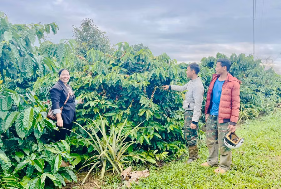 chi-hani-thuong-xuyen-chia-se-kinh-nghiem-cham-soc-cay-trong-cho-hoi-vien-nong-dan.jpg