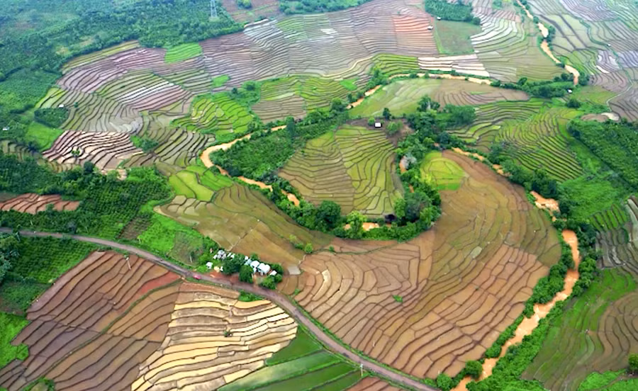 ruong-bac-thang-giua-dai-ngan.jpg