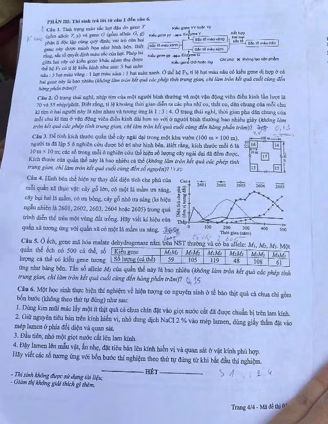 4-899.jpg