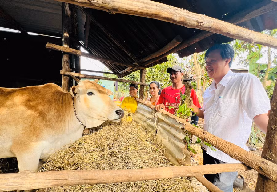 gia-dinh-chi-ro-cham-khi-lang-krai-thi-tran-phu-hoa-cung-can-bo-lang-thi-tran-den-kiem-tra-mo-hinh-nuoi-bo-sinh-san-cua-gia-dinh-anh-dinh-yen.jpg