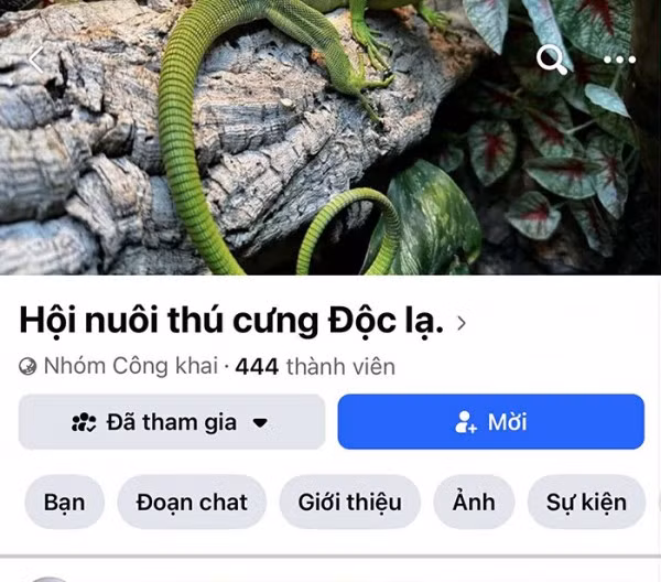 Những hội nhóm thế này xuất hiện nhiều trên mạng xã hội.