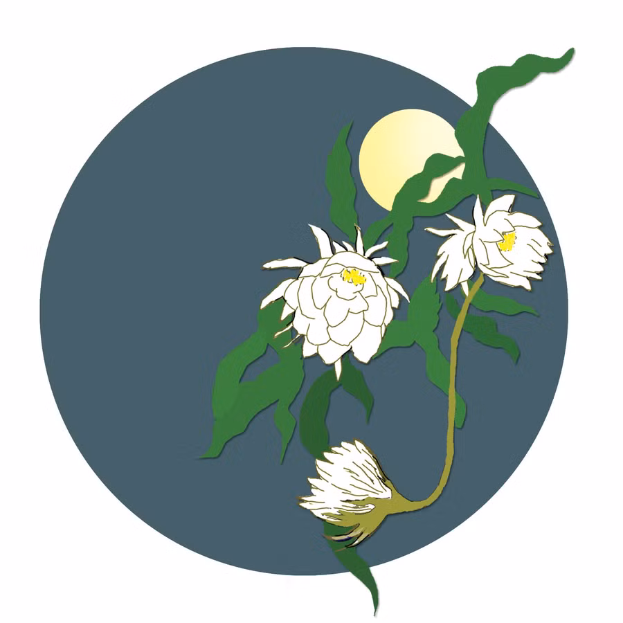 hoa-quynh.jpg
