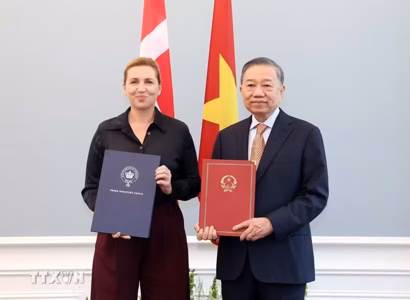 thiet-lap-quan-he-doi-tac-chien-luoc-toan-dien-viet-nam-dan-mach.jpg