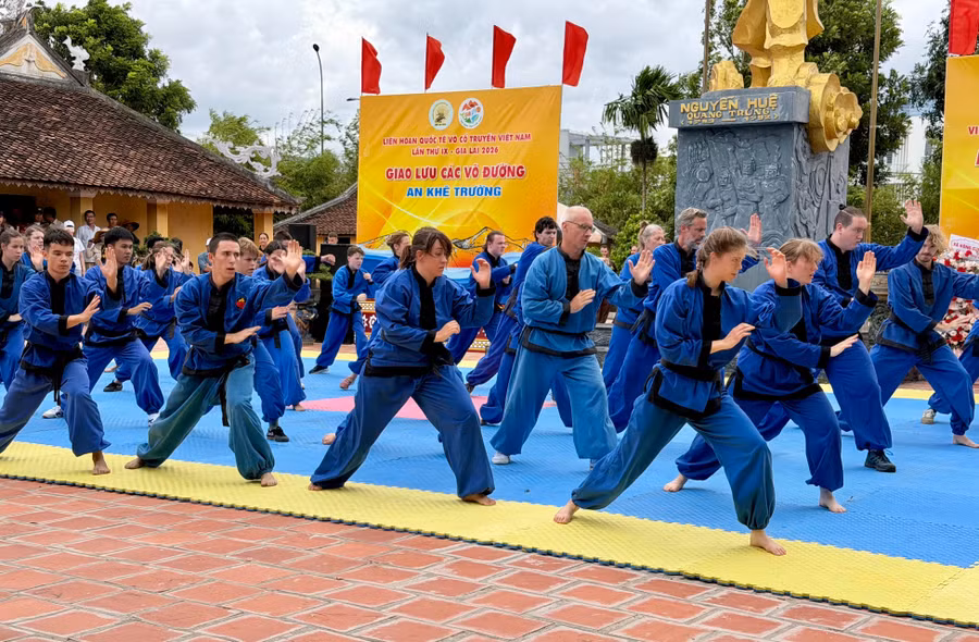 5-6654.jpg