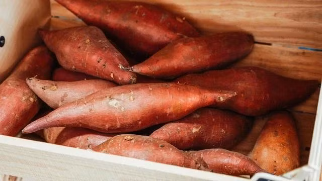 Khoai lang chứa hàm lượng beta-carotene cao, một chất chống oxy hóa giúp bảo vệ mắt